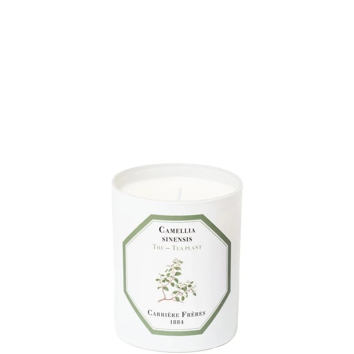 Thé - Camelia Sinensis Bougie Parfumée - Carrière Frères - Incenza