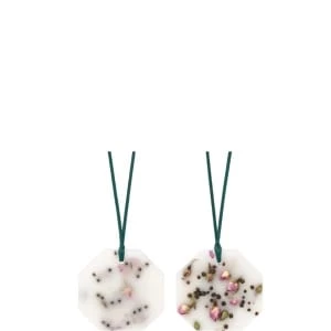 La Rose Aime Le Poivre Palet Botanique La Rose Aime Le Poivre Palet Botanique