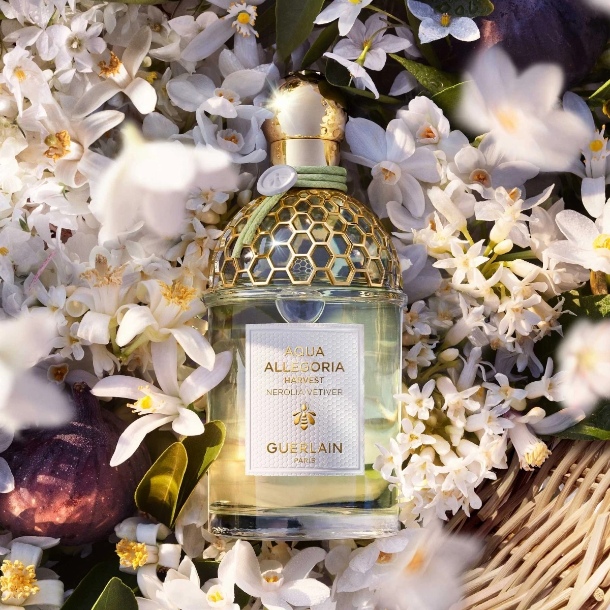Aqua Allegoria Harvest Nerolia Vetiver de GUERLAIN Eau de Toilette Incenza