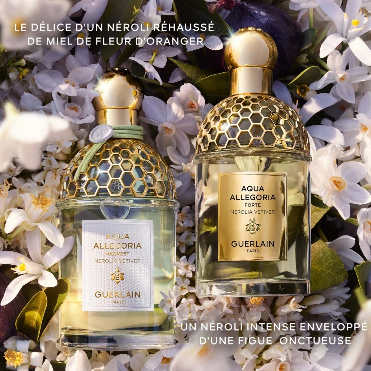 Aqua Allegoria Harvest Nerolia Vetiver de GUERLAIN Eau de Toilette Incenza