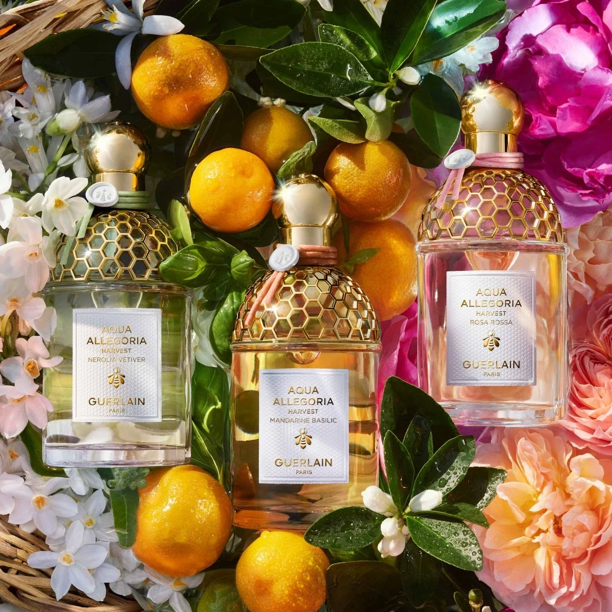 Aqua Allegoria Harvest Nerolia Vetiver de GUERLAIN Eau de Toilette Incenza