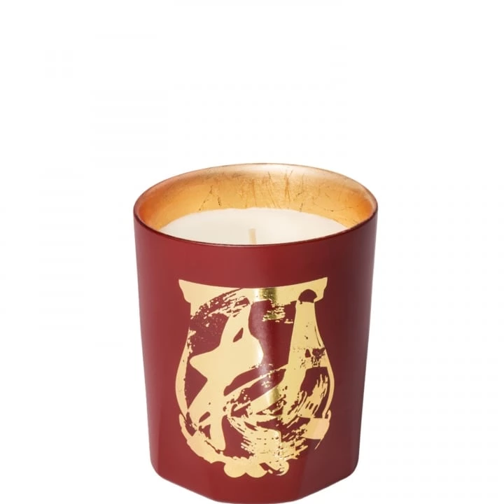 Terre à Terre Bougie Parfumée - Trudon - Incenza