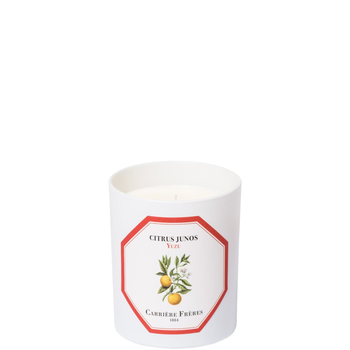 Yuzu - Citrus Junos Bougie Parfumée