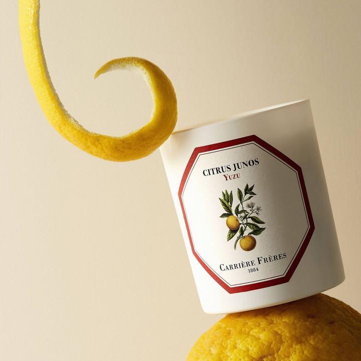 Yuzu - Citrus Junos Bougie Parfumée
