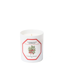 Poivre du Sichuan - Zanthoxylum Piperitum Bougie Parfumée