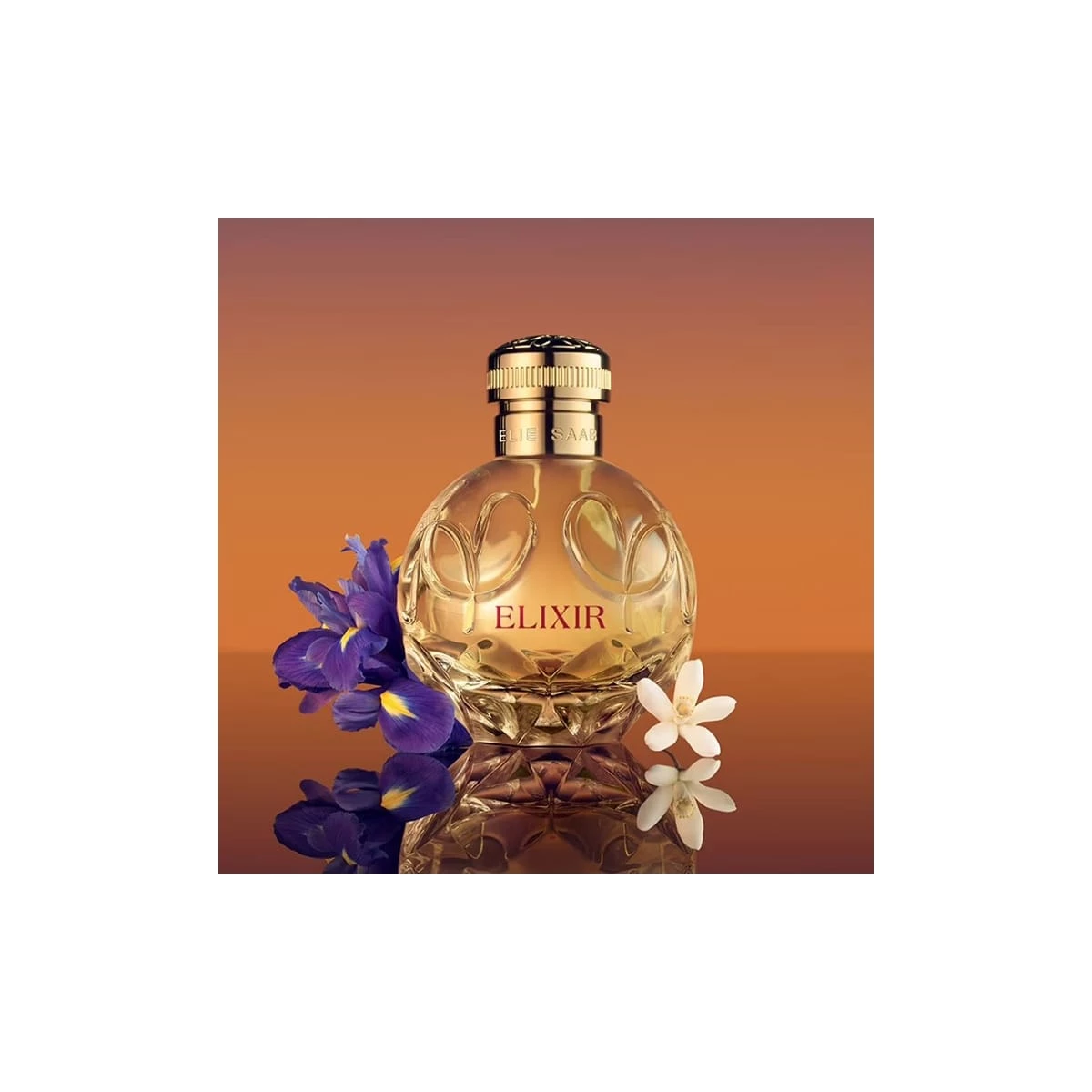 Elixir de Elie Saab Eau de Parfum Incenza