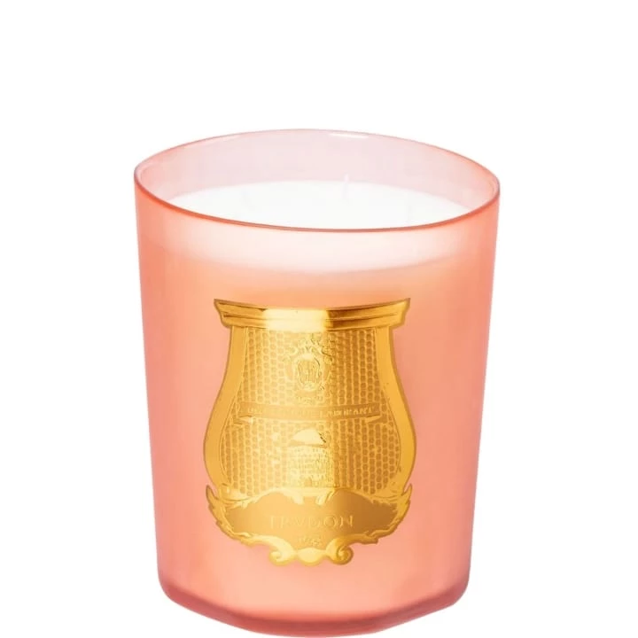 Tuileries Bougie Parfumée - Trudon - Incenza