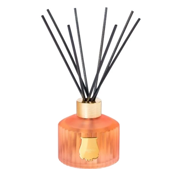 Tuileries Diffuseur d'Ambiance - Trudon - Incenza