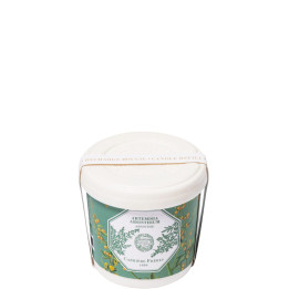 Artemisia Absinthium - Absinthe Recharge Bougie Parfumée