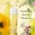 Sunflowers Honey Daze Eau de Toilette