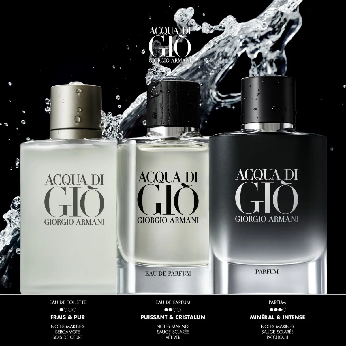 Acqua di Giò de ARMANI Parfum Incenza