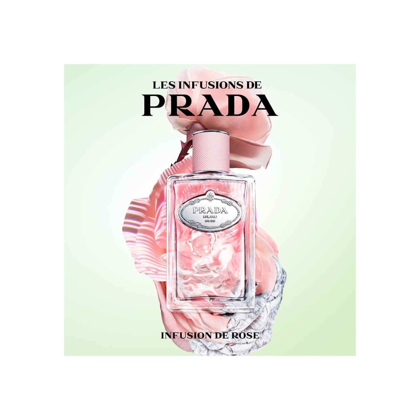 les-infusions-de-prada-rose-