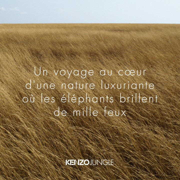Kenzo Jungle Eau de Parfum