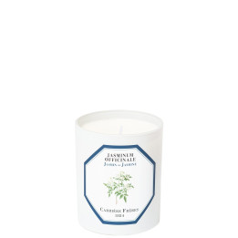 Jasmin - Jasminum Officinale Bougie Parfumée