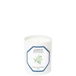 Jasmin - Jasminum Officinale Bougie Parfumée Jasmin - Jasminum Officinale Bougie Parfumée