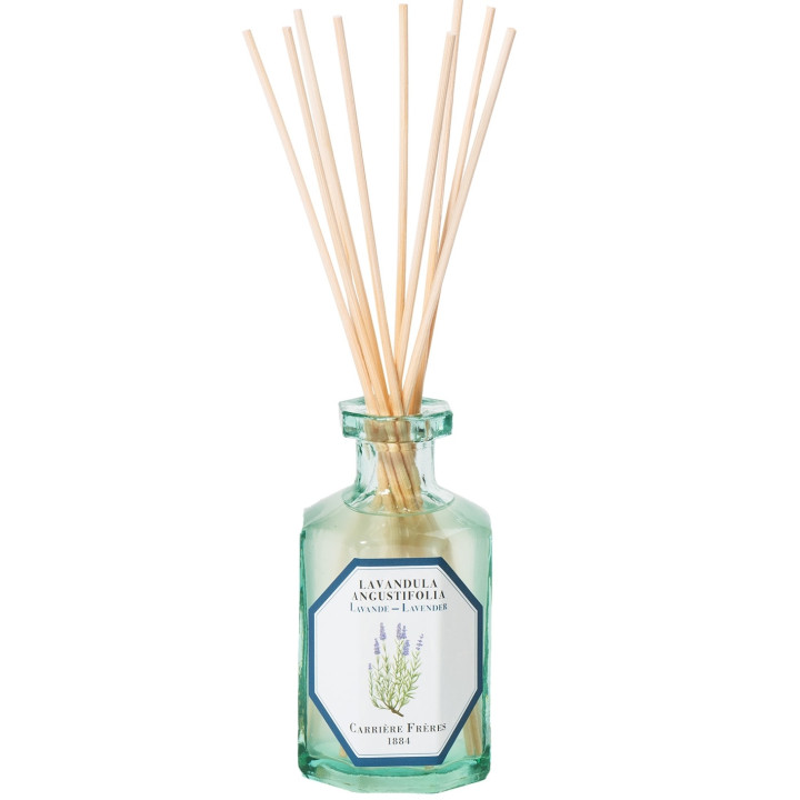 Lavande - Lavandula Angustifolia Diffuseur de Parfum