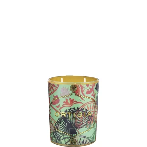 Fico d'India Bougie Parfumée Décorée Fico d'India Bougie Parfumée Décorée