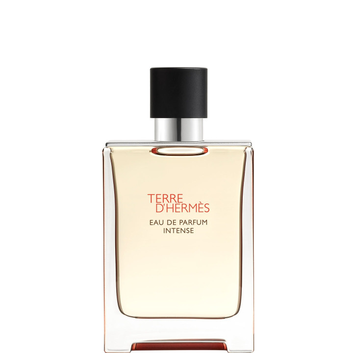 Terre d'Hermès Eau de Parfum Intense - 100 ml
