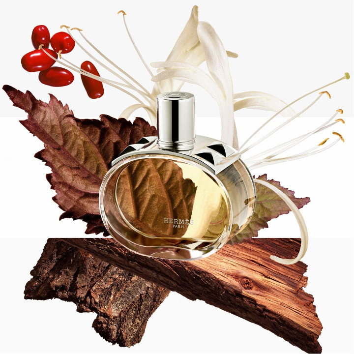 Barénia Brume Parfumée pour Cheveux