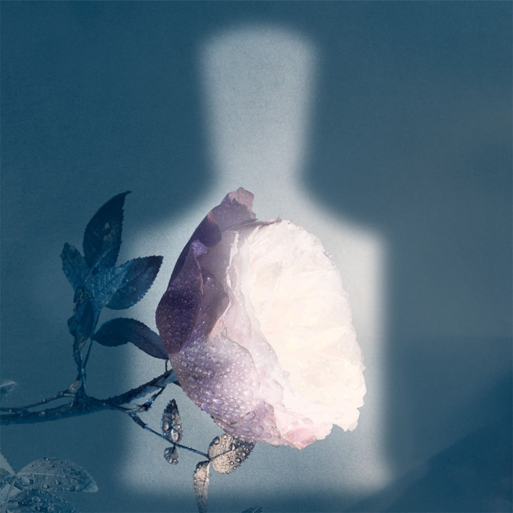 Eladaria Eau de Parfum