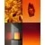 Ambre Nomade Extrait de Parfum