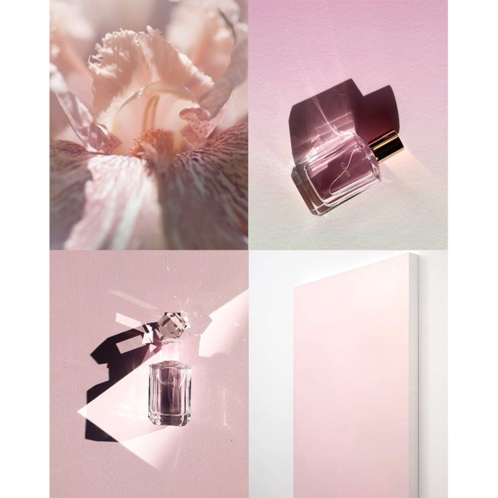 Poudre Désir Extrait de Parfum