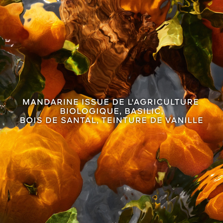 Aqua Allegoria Forte Mandarine Basilic Eau de Parfum