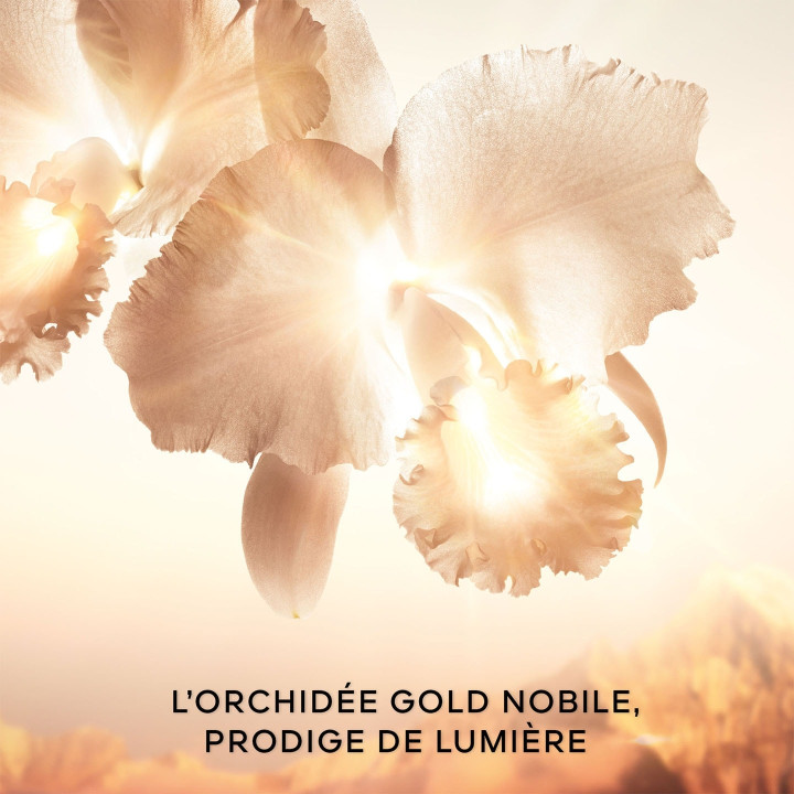 Orchidée Impériale Gold Nobile Le Soin Concentré Regard