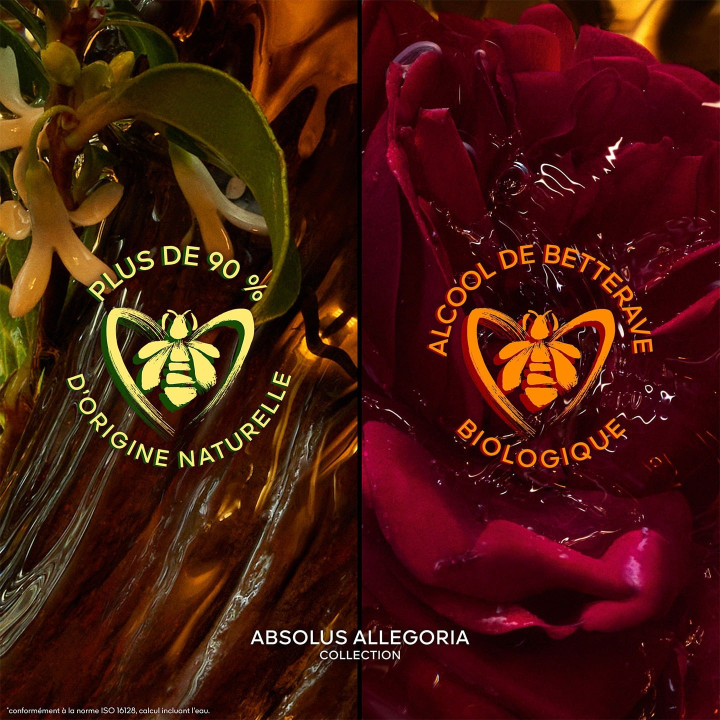 Absolus Allegoria Rose Amira Eau de Parfum
