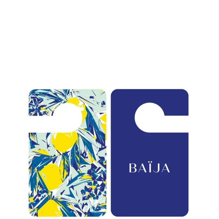 Blue Ginger Parfum Voiture - Baija - Incenza