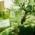 Pistachio Cousin Eau de Parfum