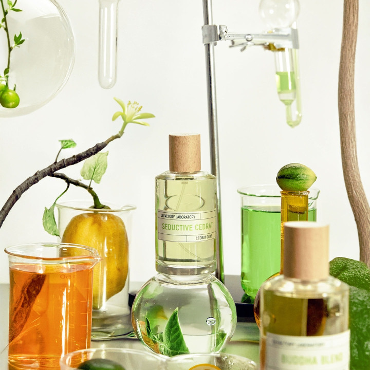Seductive Cedrat Eau de Parfum