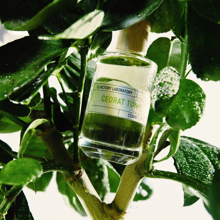Cedrat Tonic Eau de Parfum