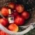 Vanille Pomme Eau de Toilette