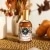 Patchouli Eau de Toilette