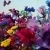 Absolus Allegoria Florabloom Eau de Parfum