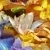 Aqua Allegoria Florabloom Crème Mains 