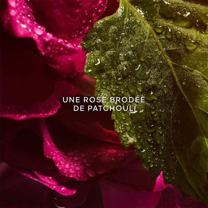 La Petite Robe Noire Eau de Parfum Absolue