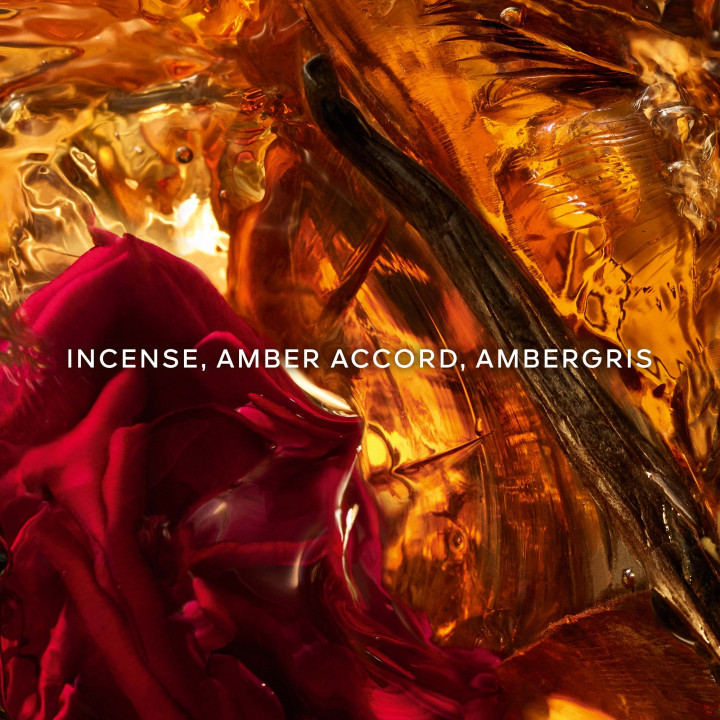 Absolus Allegoria Ambre Samar Eau de Parfum