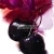 La Petite Robe Noire Coffret Eau de Pafum