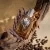 Devotion pour Homme Parfum