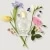 Fleurissimo Eau de Parfum