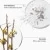 Clarifying Lotion Lotion Exfoliante 3 - Peaux mixtes à grasses