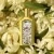 Gucci Flora Gorgeous Orchid Eau de Parfum - Recharge