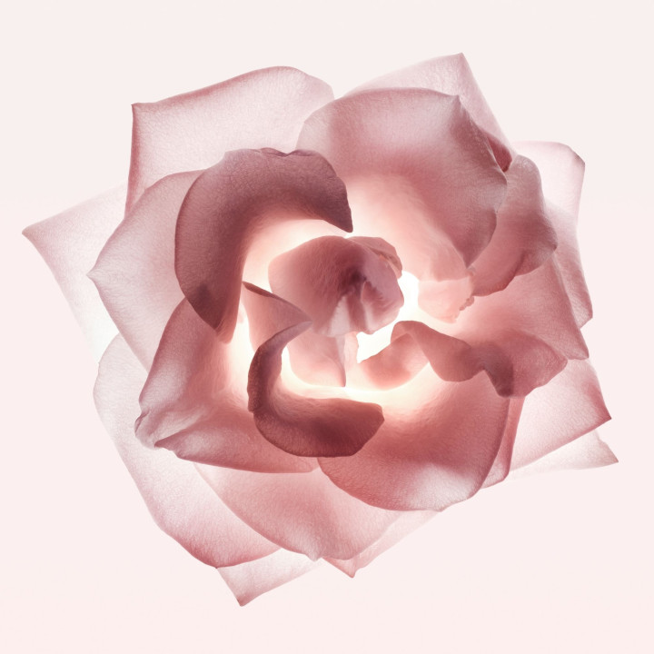 Narciso Cristal Eau de Parfum