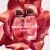 All Of Me Eau de Parfum Intense