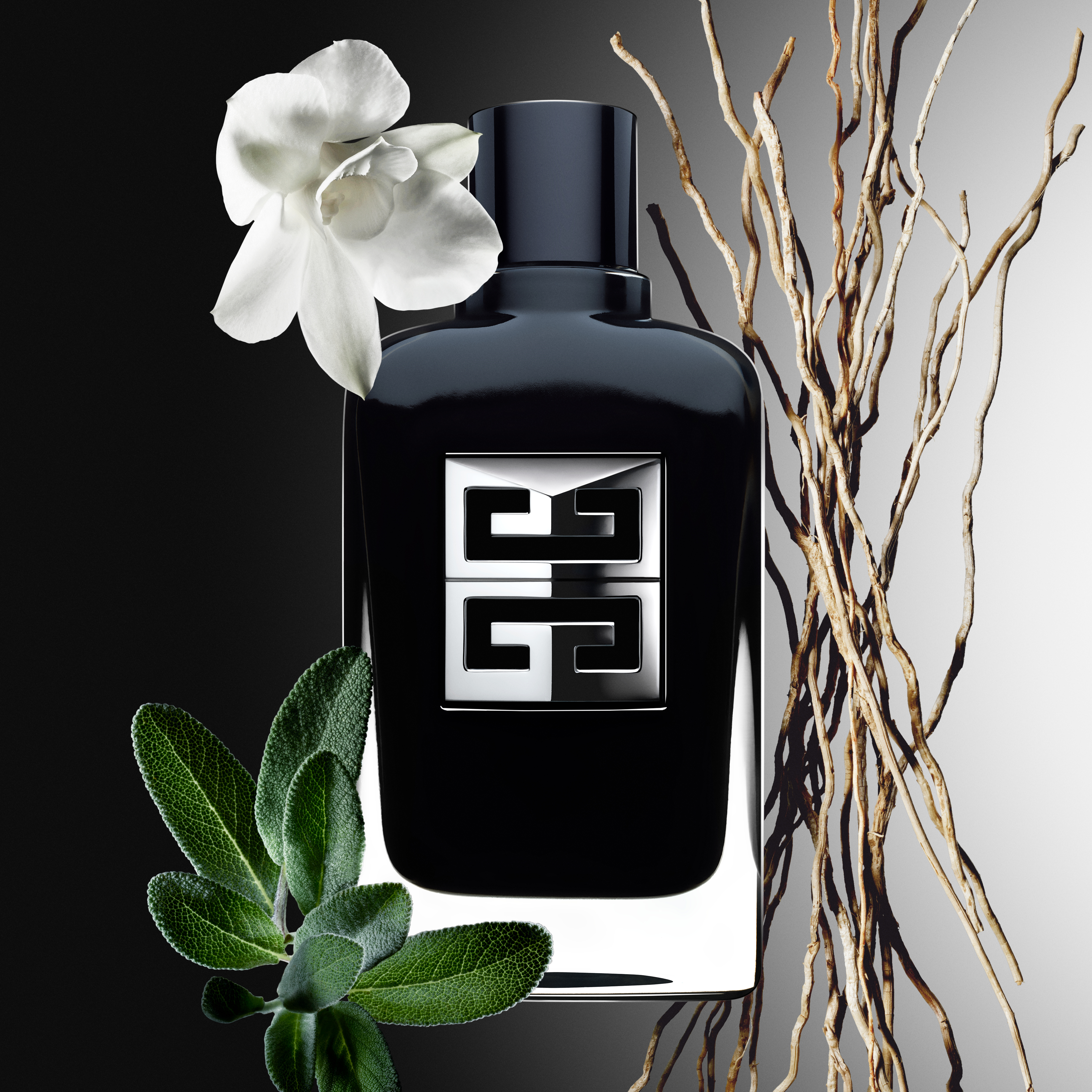 Ingrédients Gentleman Society GIVENCHY - Incenza