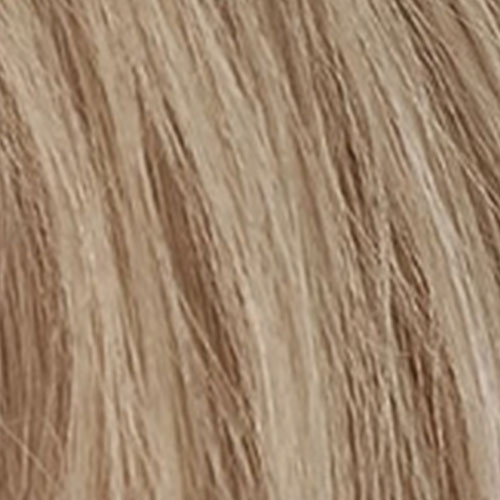 10C - Blond Platine Cendré