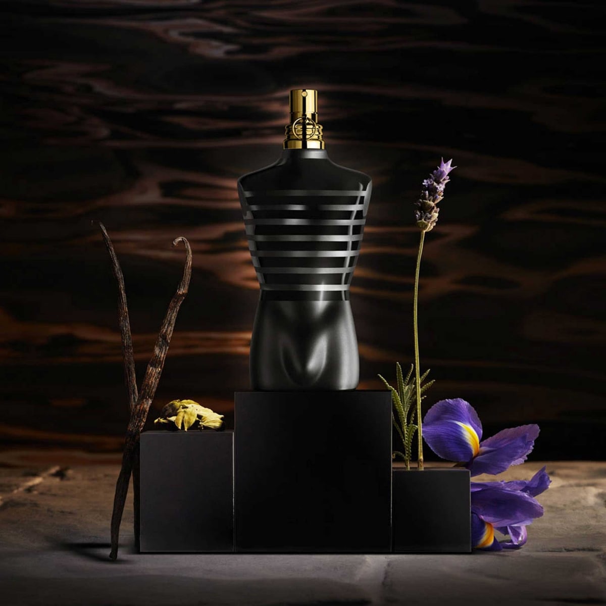 Le Male Eau de Parfum Jean-Paul Gaultier - Incenza