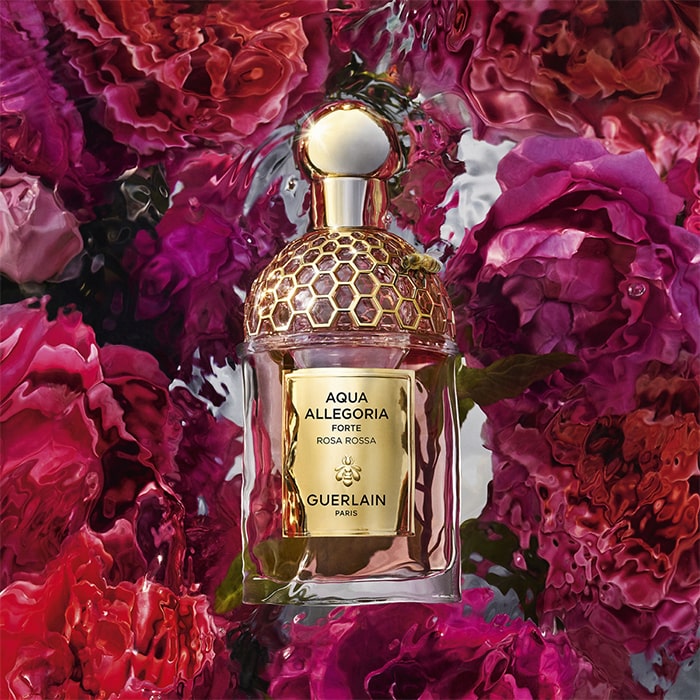 Aqua Allegoria Forte Rosa Rossa Guerlain - Incenza